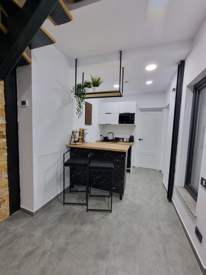 Casa Chiper - Apartament Parter 브라쇼브 외부 사진